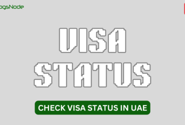 How To Check UAE Visa Status